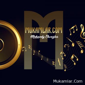 Elsen Pro ft Filiz Kemal - Kehribar