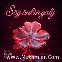 Taze Yuz ft. Swizzy347 ft. Selbi T - Söý Öňkiň Ýaly